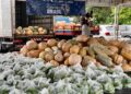 Sepror entrega mais 22 toneladas de alimentos para 13 entidades assistenciais cadastradas no PAB