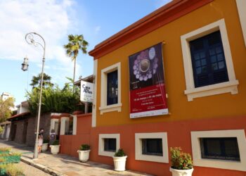 Casa das Artes: Exposição fotográfica traz a gastronomia sob o olhar feminino