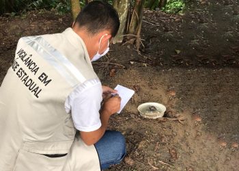 Nota técnica da Saúde orienta intensificação do monitoramento de dengue, zika e chikungunya no Amazonas