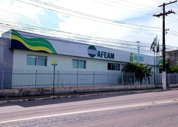 Governo do Amazonas informa sobre procedimentos para solicitação de linhas de crédito da Afeam