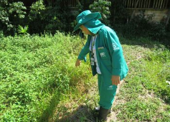 Controle da malária: Saúde realiza captura de larvas para análise de vetor e contenção da doença