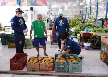 Setenta mil famílias são atendidas com programa que reduz desperdício de alimentos em feiras de Manaus