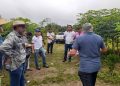 Em Iranduba, Idam incentiva tecnologias e boas práticas agrícolas no cultivo de citros e macaxeira