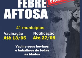 Adaf prorroga primeira etapa da campanha Amazonas Sem Febre Aftosa
