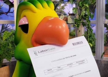 DNA confirma: Papagaio é filho de Louro José; ajude a escolher o nome do “neto” da Ana Maria Braga