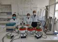 Planta conhecida como ‘óleo elétrico´ pode ser alternativa de renda no interior, aponta pesquisa