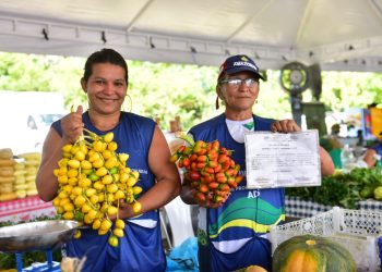 Selo de produção da Agricultura Familiar é instituído no Amazonas