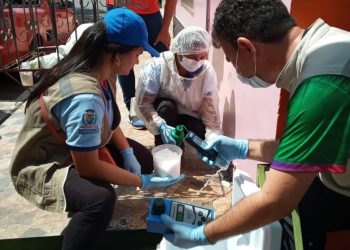 Parintins 2022: FVS-RCP alinha ações de Vigilância em Saúde para o Festival Folclórico