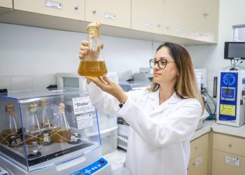 Estudo apoiado pelo Governo do Amazonas investiga uso de amido de mandioca aliado a fungos amazônicos no tratamento de câncer