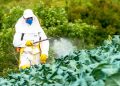Adaf alerta produtores sobre proibição de agrotóxicos com o princípio ativo Carbendazim