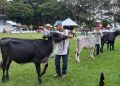 Expoagro acontece de 28 de agosto a 4 de setembro em  Manaus