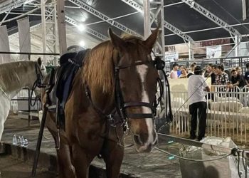 Governo do Amazonas realiza encerramento da 44ª Expoagro neste domingo (04/09)