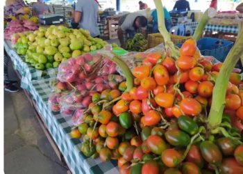 Vitória Supermercados promove feira de produtos regionais