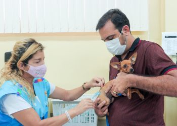 Centro de Controle de Zoonoses de Manaus vacinará animais no feriado prolongado
