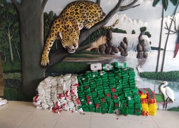 Fronteira Mais Segura/Hórus: homem é preso com mais de 300 quilos de drogas em Codajás