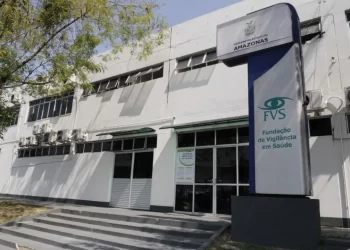 Serpentes, escorpiões e aranhas lideram acidentes com animais peçonhentos no Amazonas