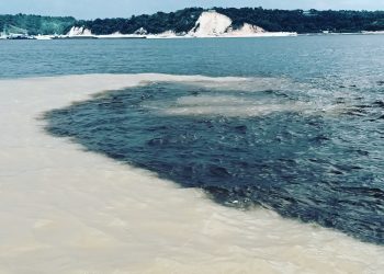 Passeio de barco em Manaus: Encontro das Águas, botos e Aldeia Indígena