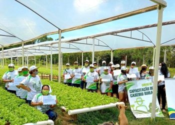 Mais de 5 mil produtores rurais foram capacitados pelo Governo do Amazonas em 2022
