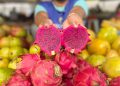 Frutas exóticas produzidas no Amazonas ganham destaque nas Feiras de Produtos Regionais da ADS