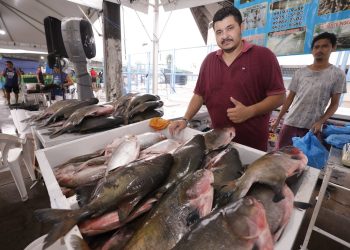 Feirão do Pescado: Comercialização segue alta pela procura de peixes por conta da Semana Santa