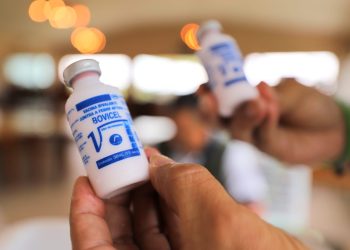 Febre aftosa: Adaf alerta produtores para o fim do prazo de notificação da vacinação