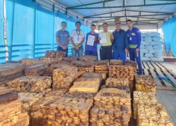 Em Eirunepé, Idam 0⁰ está voltada à maior inserção de produtores na cultura, com foco na organização e geração de emprego e renda aos trabalhadores