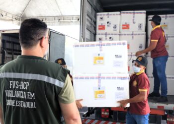 Amazonas recebe 78.760 doses de vacina contra a dengue do Ministério da Saúde