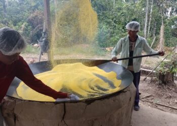 Farinha de Uarini é declarada Patrimônio Cultural do Amazonas e Idam destaca título