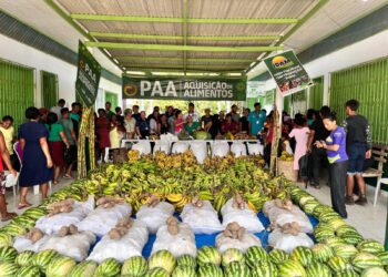 Governo do Amazonas investiu mais de R$ 400 mil na compra de alimentos da agricultura indígena