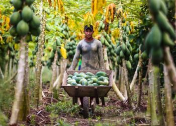 ADS inicia ação itinerante para credenciamento no Preme na região metropolitana de Manaus, a partir deste sábado