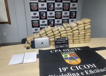 Polícia Militar do Amazonas apreende 70 quilos de maconha em ação na Ponta Negra