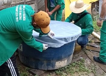 Boletim 2025: Amazonas registra redução da dengue e mantém alerta para arboviroses, aponta FVS-RCP