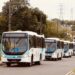Prefeitura sanciona lei que garante passagem de ônibus gratuita nas eleições de 2026 em Manaus